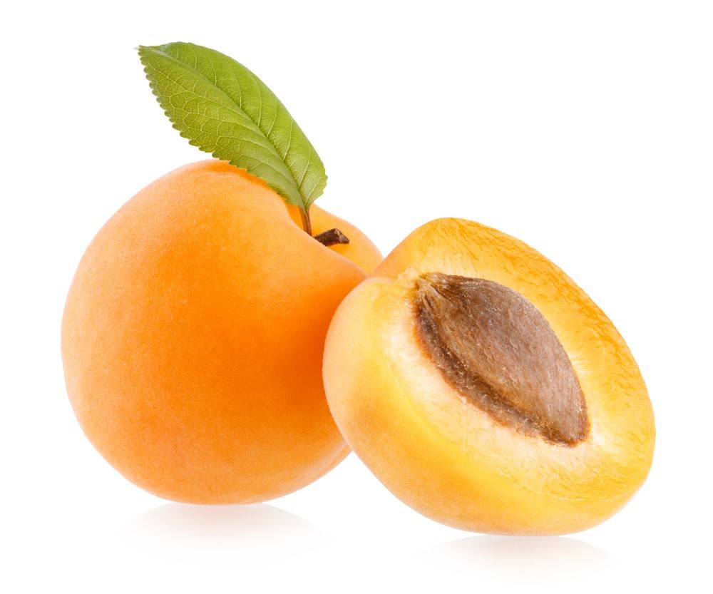Organic Small Apricot