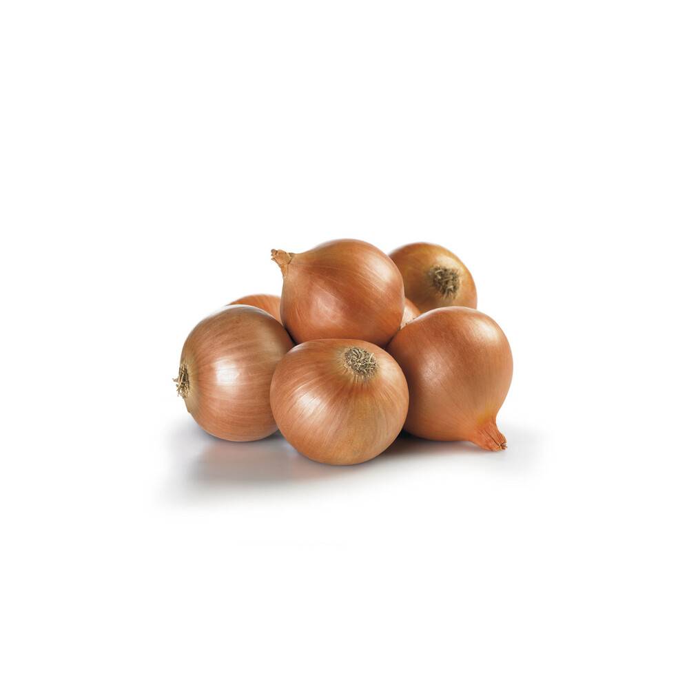 Fresh Brown Onions Loose aprx. 180g each