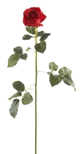 Ashland Dutch Rose Spray, 28 in, Red