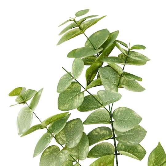 Ashland Eucalyptus Branch, 26 in