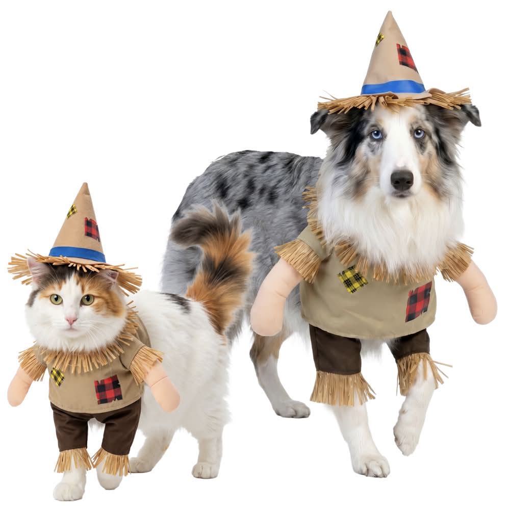 Play On Scarecrow Set Dog or Cat Costume, Extra Large/Extra Extra Large