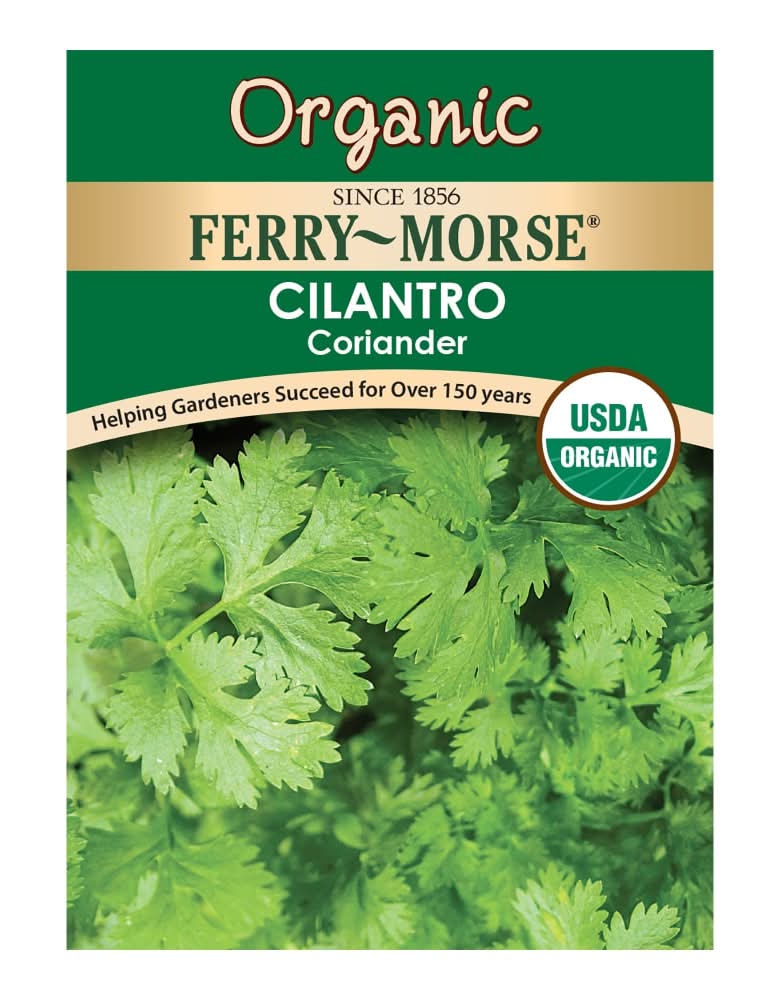Ferry-Morse® Organic Coriander Cilantro Seeds