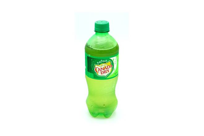 Canada Dry Ginger Ale (20oz)