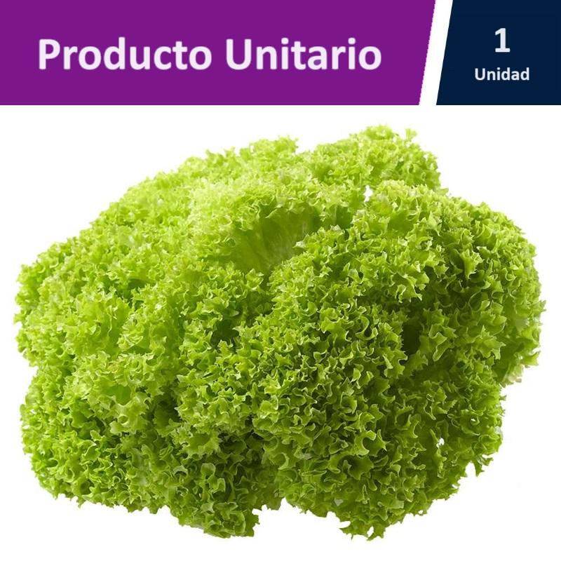 Pura Hoja · Lechuga lollo bionda hidropónica