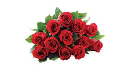 Red Roses 12 Stem Wet Pack - Each