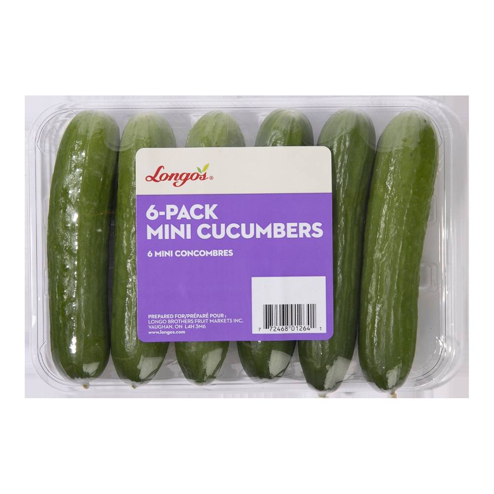 Mini Cucumber (3 ct)