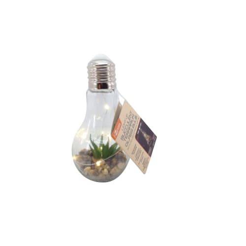 i-Zoom Light Bulb Terrarium