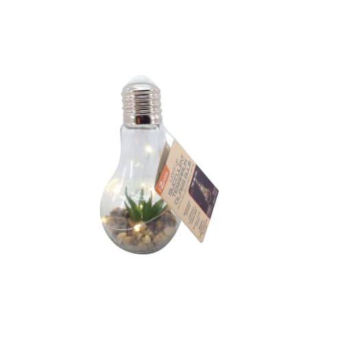 I-Zoom Light Bulb Terrarium