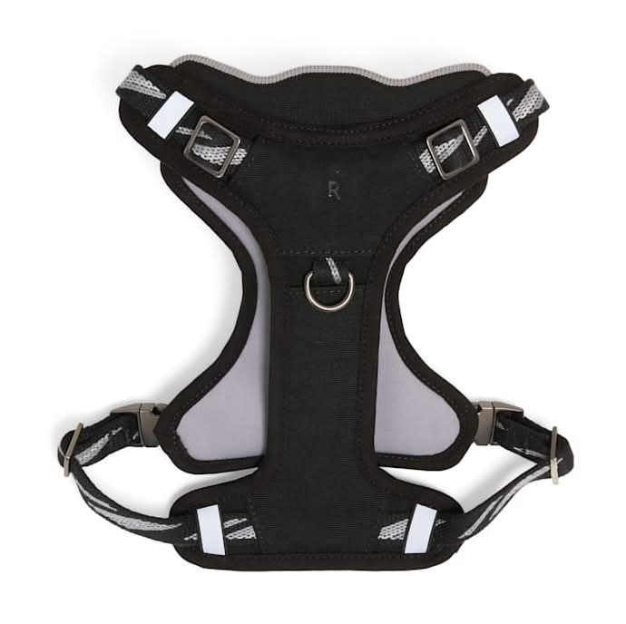 Reddy Everyday Dog Harness, Black, Large