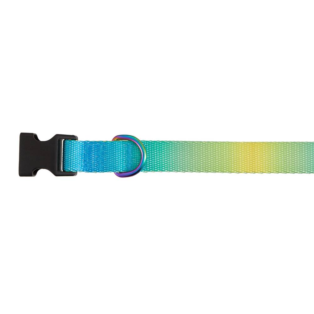 Top Paw Ombre Polyester Dog Collar (small/ yellow-blue)