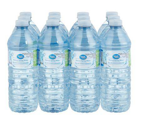 Great Value Spring Water (12 x 500 ml)