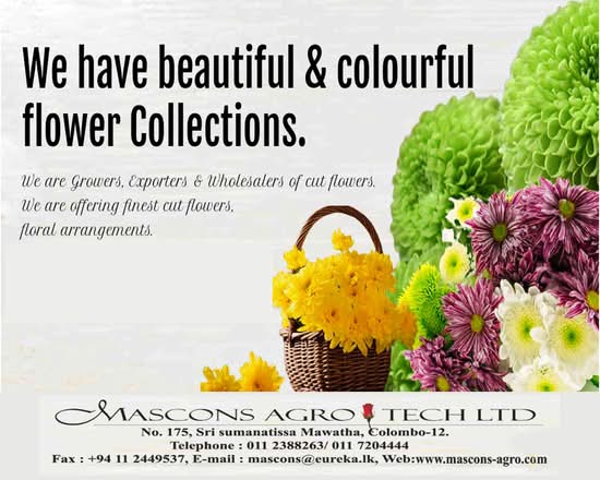Mascons Agrotech LTD - Colombo 12