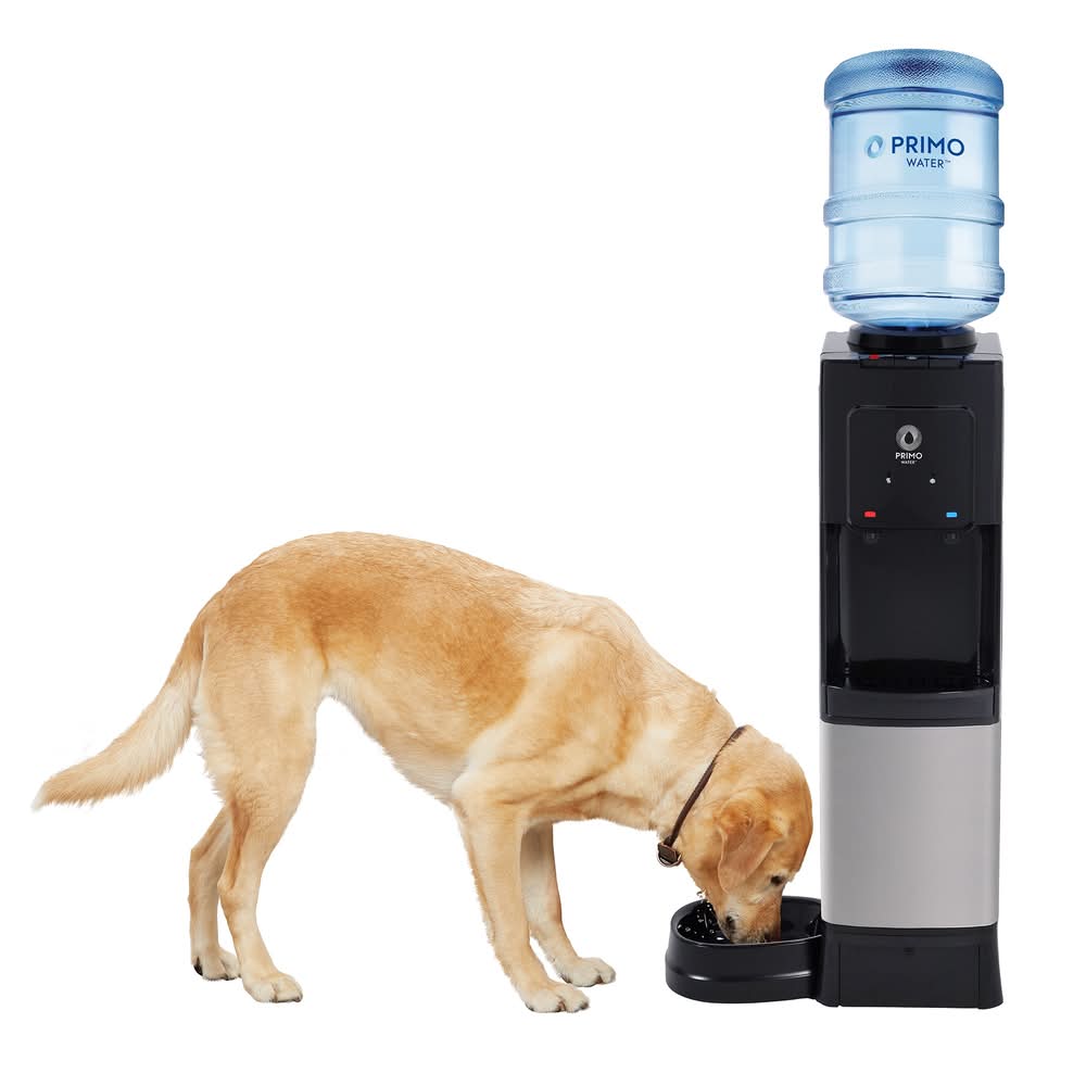 Primo Black Water cooler | 601335