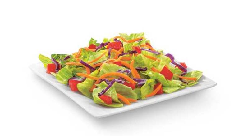 Side Salad with Fresh Lettuce