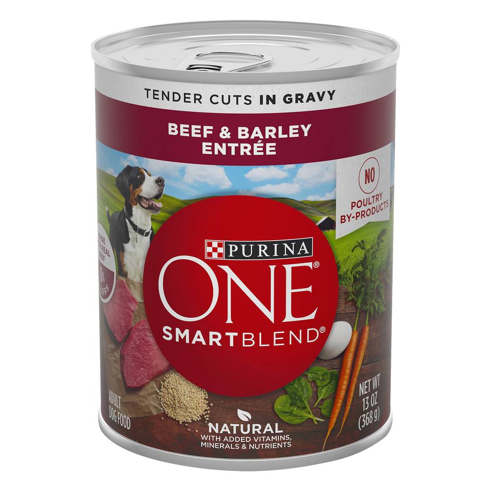 Purina One One Smartblend Beef & Barley Wet Adult Dog Food (13 oz)