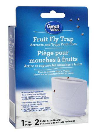 Great Value Fruit Fly Trap (1 trap)