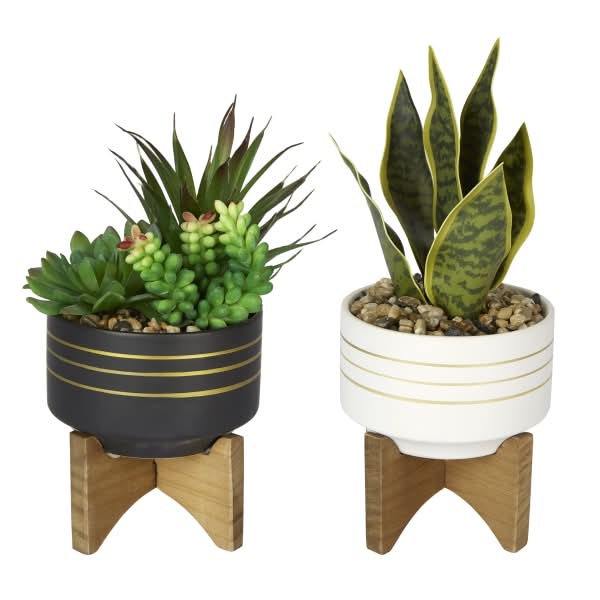 Office Depot® Brand 4-1/2"H Rubber Artificial Mixed Succulent With Stand, 4-1/2" x 4-1/2", Assorted Colors