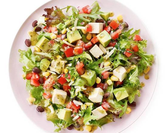 Fiesta Wrap & Salad