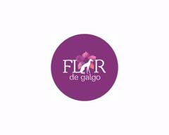 Flor de Galgo (Las Condes)