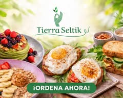 Tierra Seltik (Mexico City)
