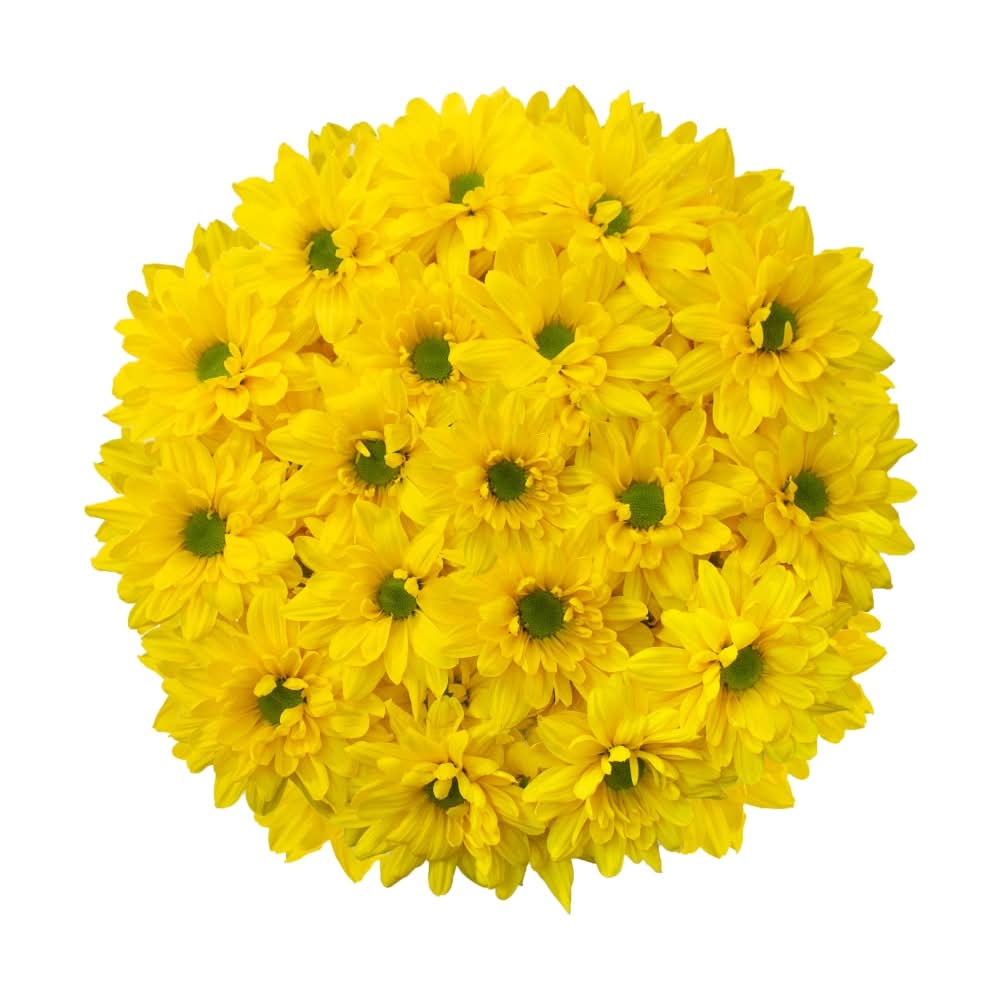 5 Stem Yellow Daisy Bunch