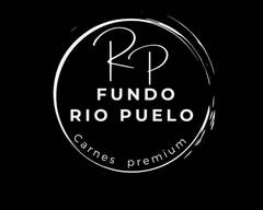 Fundo Rio Puelo (lo Barnechea)