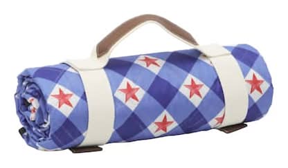 52" X 70" Blue Gingham Picnic Blanket By Celebrate It