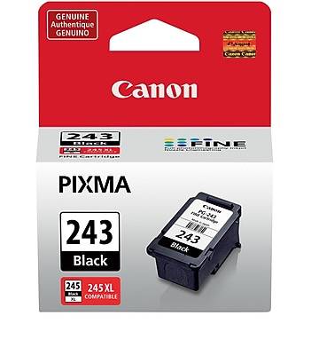 Canon 243 Black Standard Yield Ink Cartridge   (1287C001)