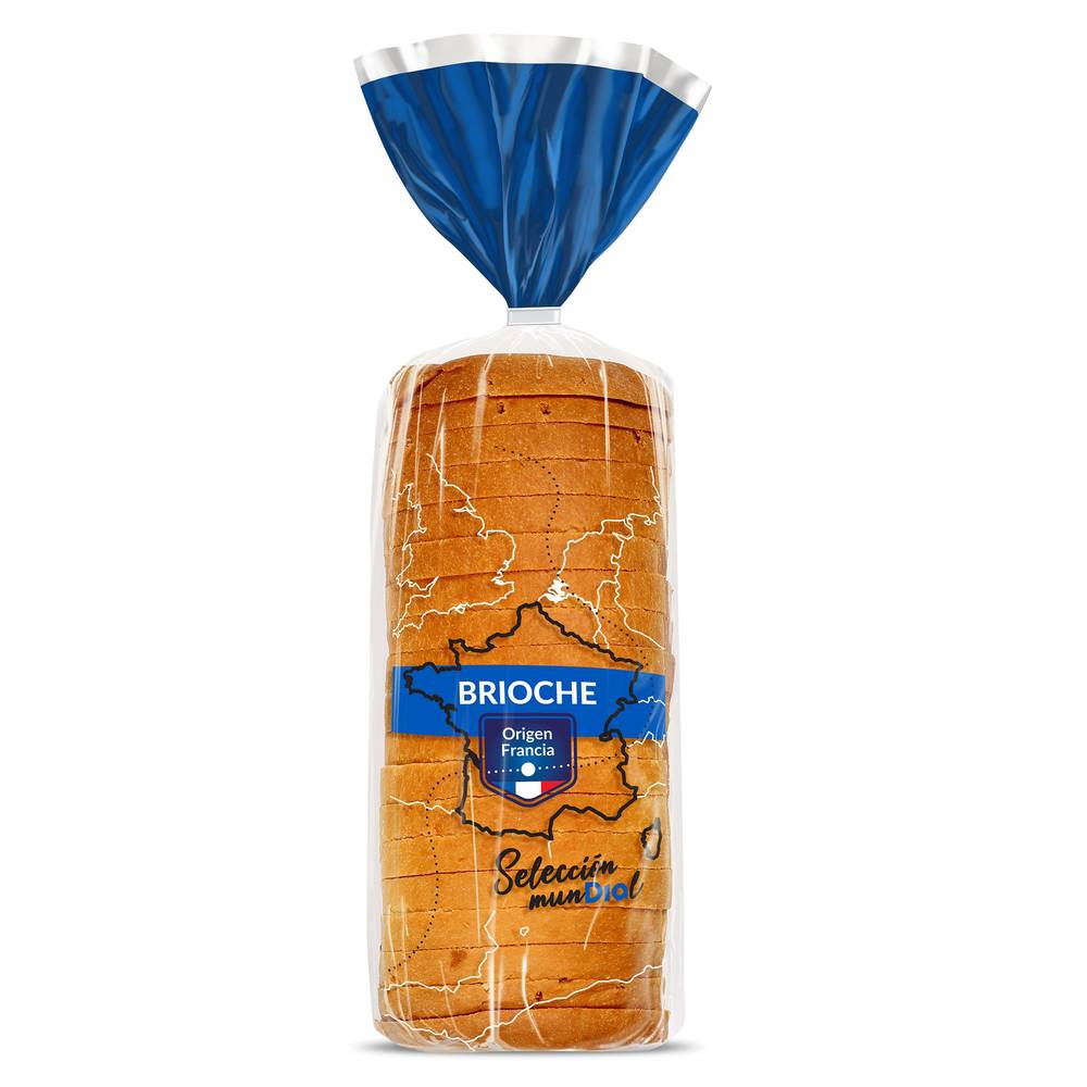 Pan Brioche Selección Mundial De Dia Bolsa 500 G