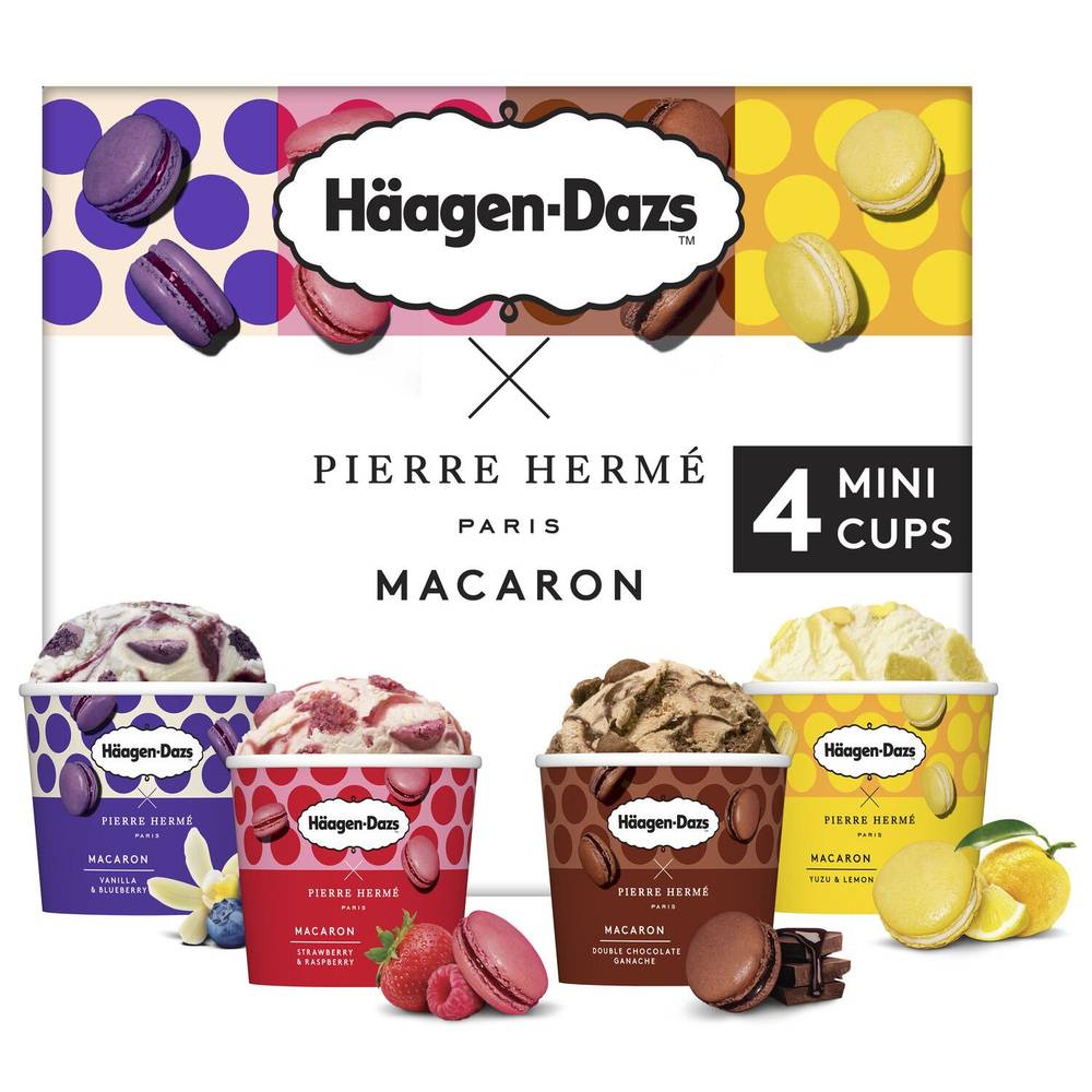 Häagen-Dazs - Glace macaron collection (vanilla - blueberry - yuzu - lemon -strawberry - raspberry  - double chocolate - ganache)