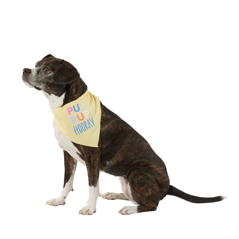 Top Paw Birthday Dog Bandana, X Small/Small