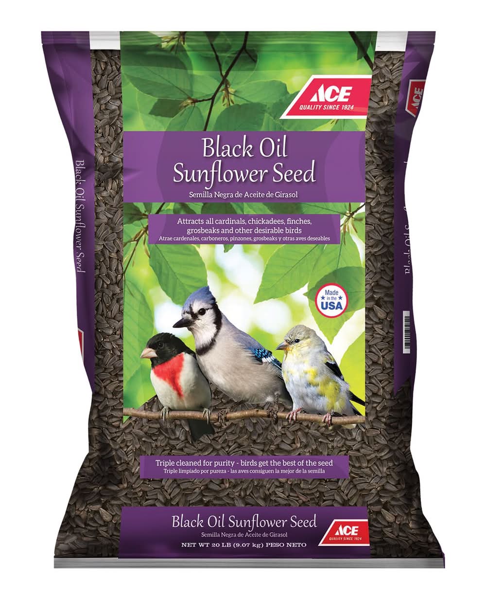 ACE Black Oil Sunflower Seed Wild Bird Food 20 Lb