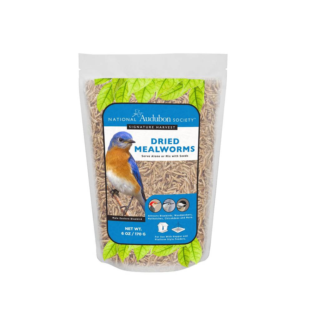 National Audubon Society Mealworms Bird Seed 6-oz | 009482