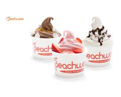 Peachwave Frozen Yogurt (187th)