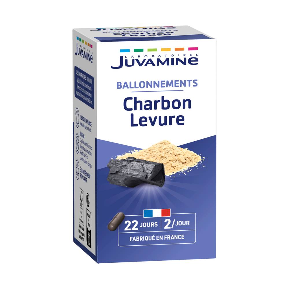 Juvamine - Charbon levure gaz intestinaux gélules (45 pièces)