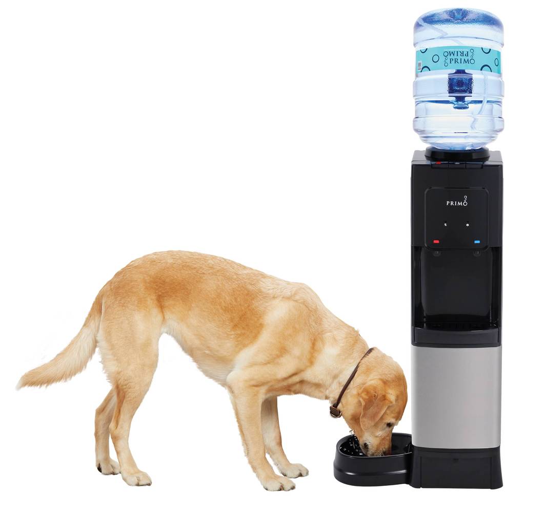 Primo Black Water Cooler | 601335