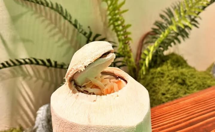 椰子出品⭐︎おまとめ7点 Coconut Jelly (Cnshed Coconut) 香椰椰子冻（椰子碎） | Postmates