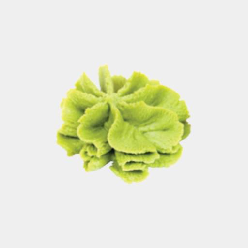 Wasabi  / Wasabi