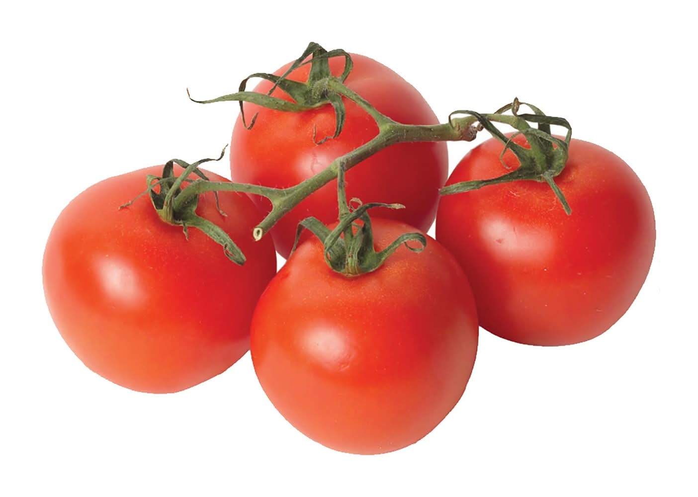 Tomato on the Vine, 1 lb
