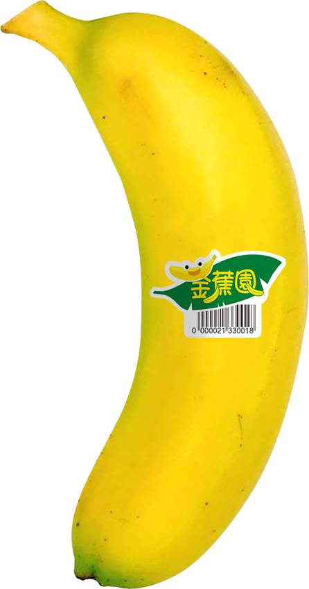 全家x金蕉園 香蕉