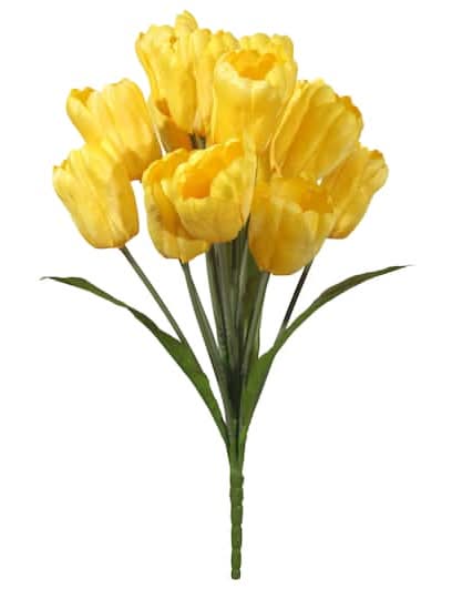 19" Tulip Bush By Ashland