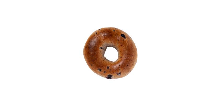 Blueberry Bagel
