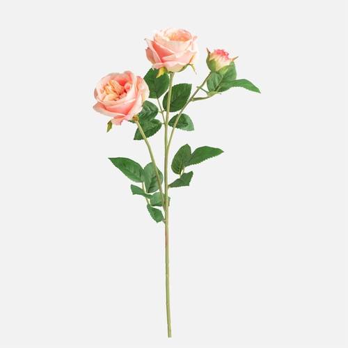 Blush Crown Rose 3-Bloom Stem by Torre et Tagus