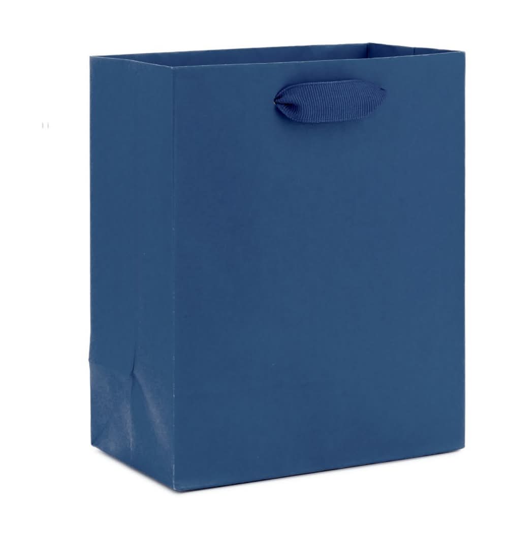 Hallmark Gift Bag For Birthdays, Weddings, Graduations