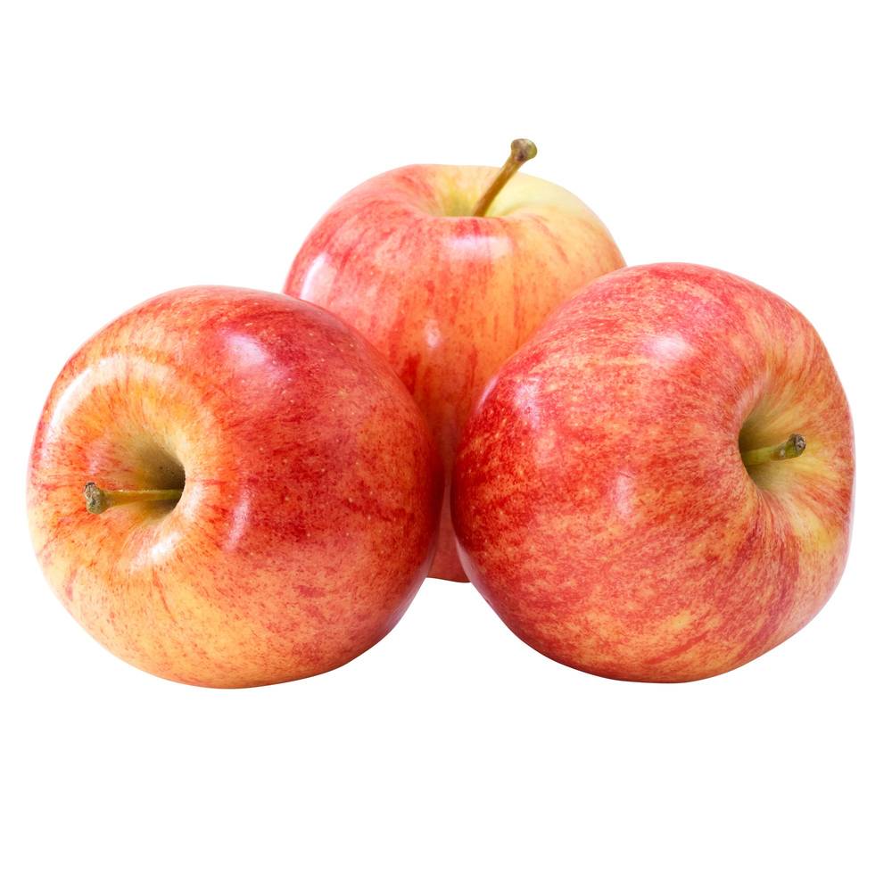 Gala Apples 2.72 Kg / 6 Lb Bag