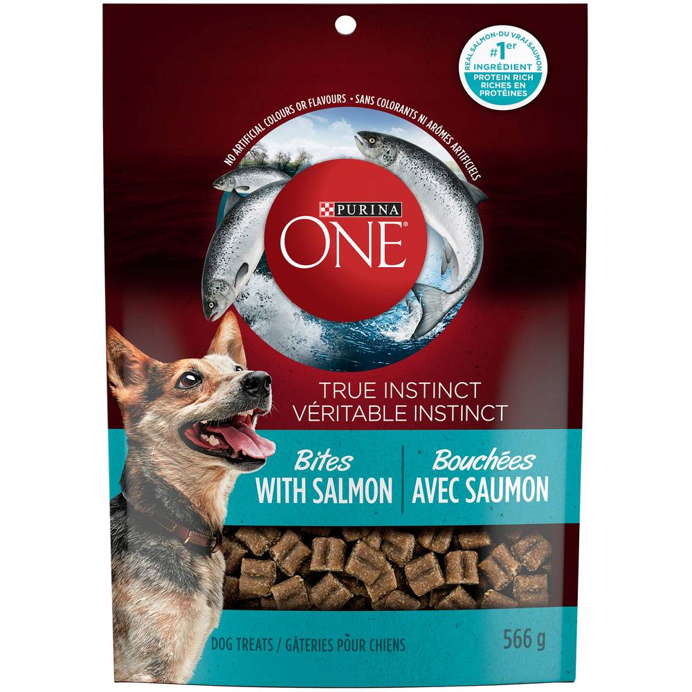 Purina One True Instinct Bite Salmon Dog Treat (566 g)