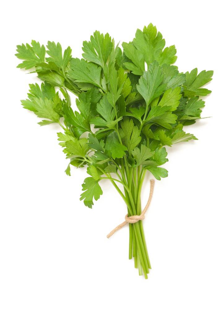 Organic Italian Parsley