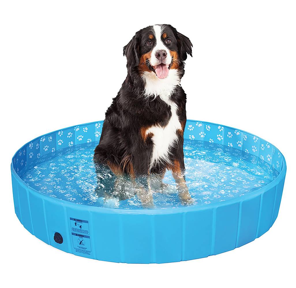 Top Paw Foldable Pool, XL, Blue