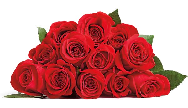 12 Stem Rose Bouquet - Wrapped (colors vary depending on availability