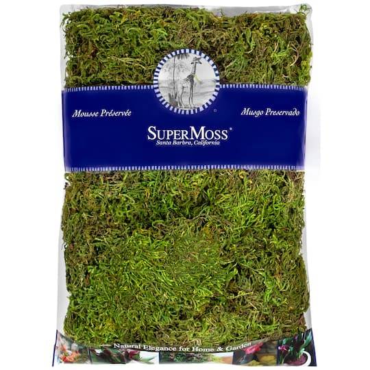 Supermoss Preserved Forest Moss